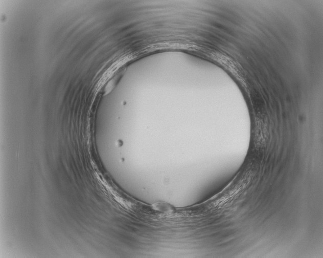 X0000058130898200510171333