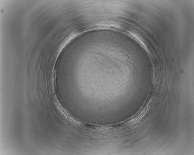 X0000058130899200510171333