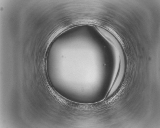 X0000058130901200510171333