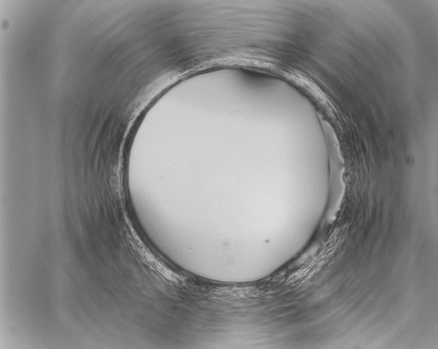 X0000058130902200510171333