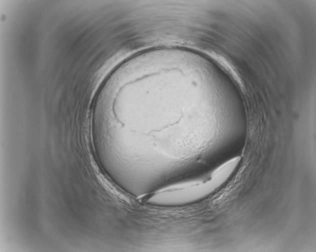 X0000058130903200510171333