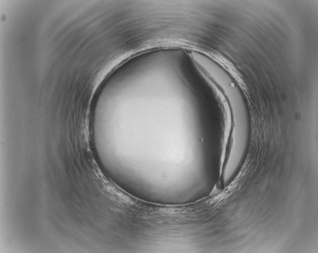 X0000058130904200510171333