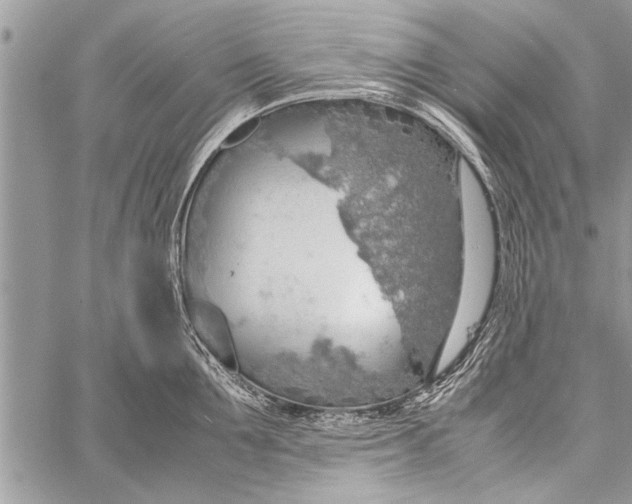 X0000058130907200510171333