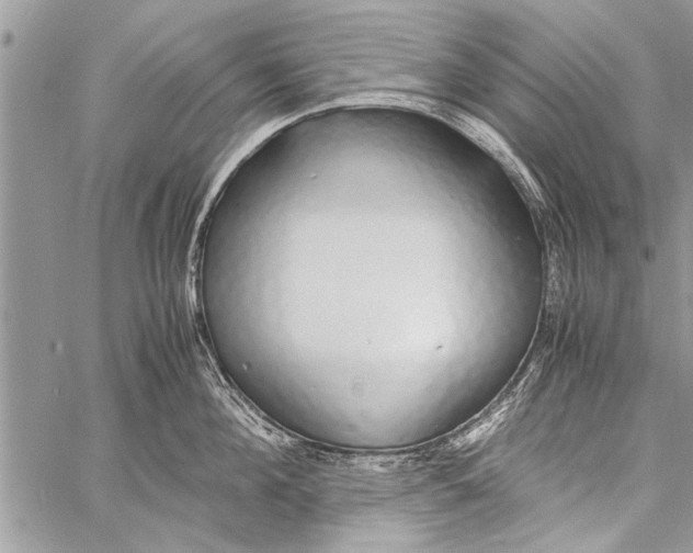 X0000058130908200510171333