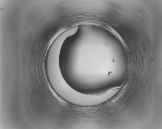 X0000058130909200510171333