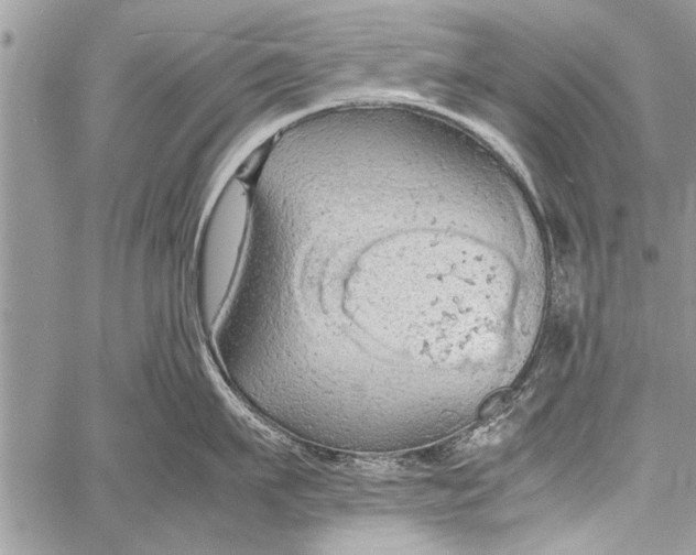 X0000058130911200510171333