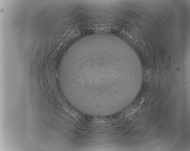 X0000058130913200510171332