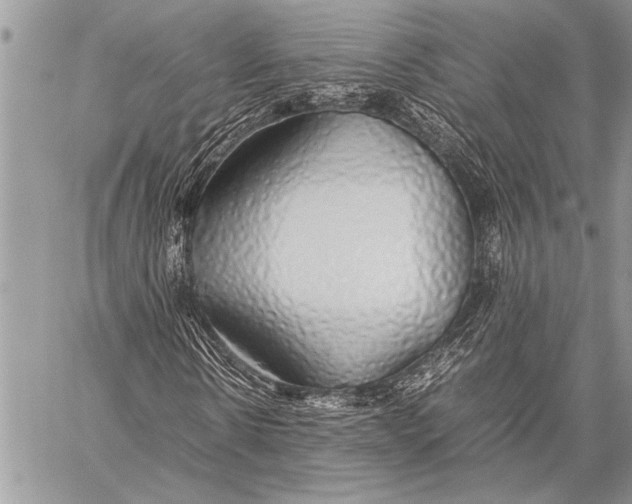 X0000058130914200510171332