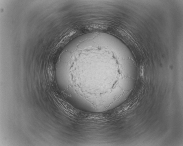 X0000058130915200510171332