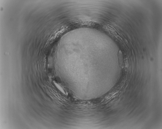 X0000058130916200510171332