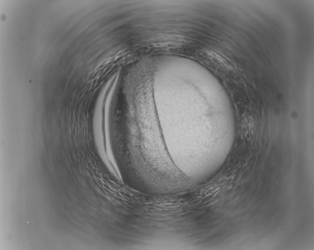 X0000058130917200510171332