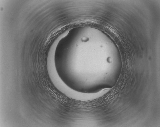 X0000058130920200510171332