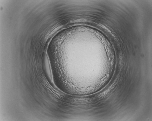 X0000058130921200510171332