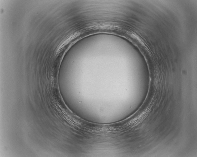 X0000058130922200510171332