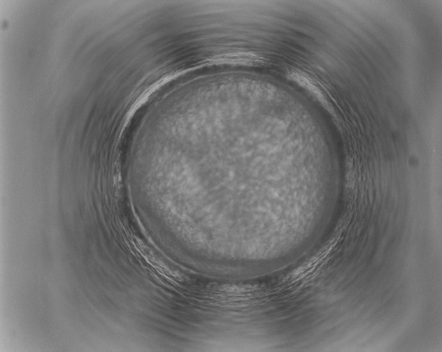 X0000058130923200510171332