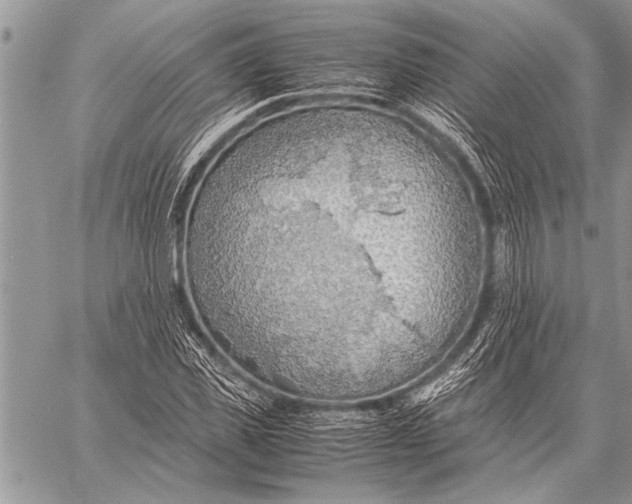 X0000058130925200510171332