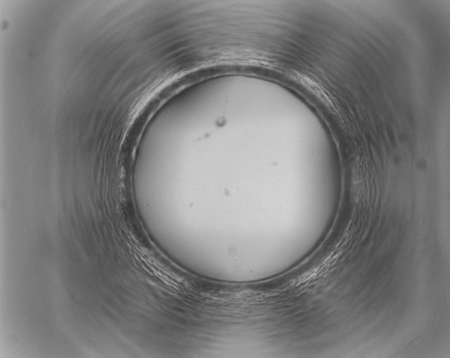 X0000058130926200510171332