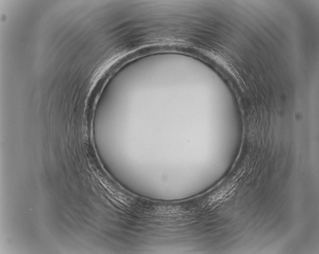 X0000058130927200510171332