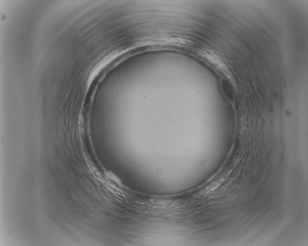 X0000058130928200510171332