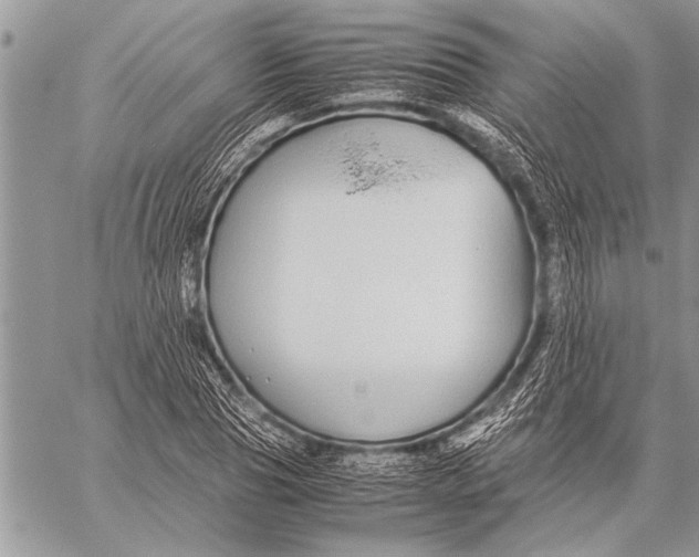 X0000058130929200510171332