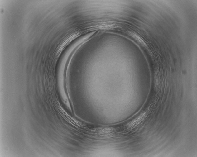 X0000058130930200510171332