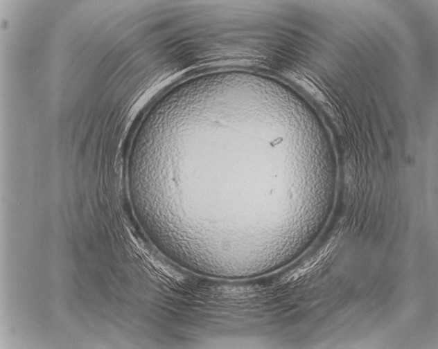 X0000058130933200510171332