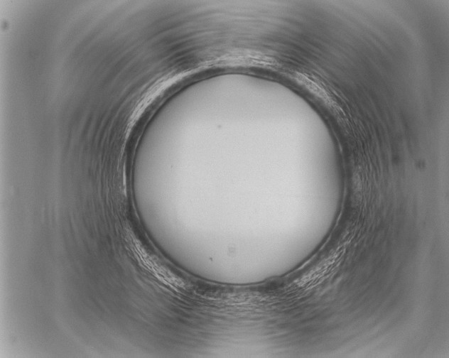 X0000058130934200510171332