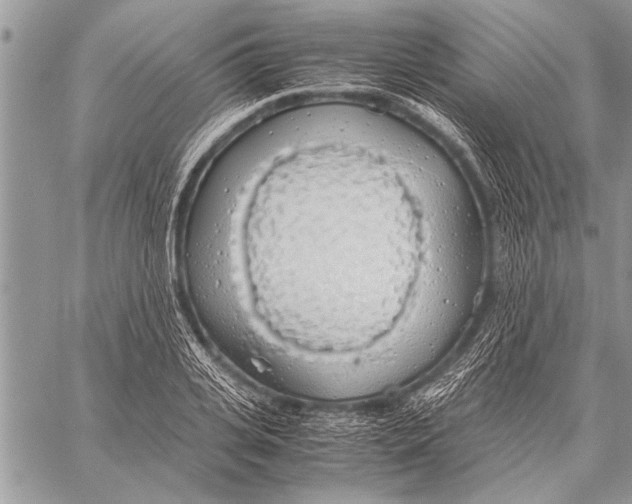 X0000058130935200510171332