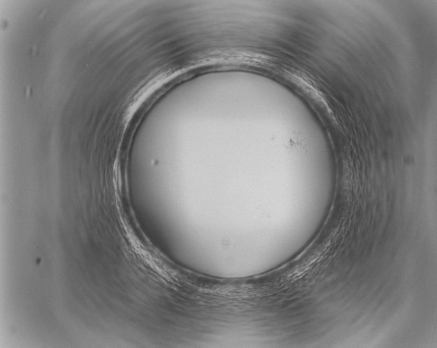 X0000058130936200510171332