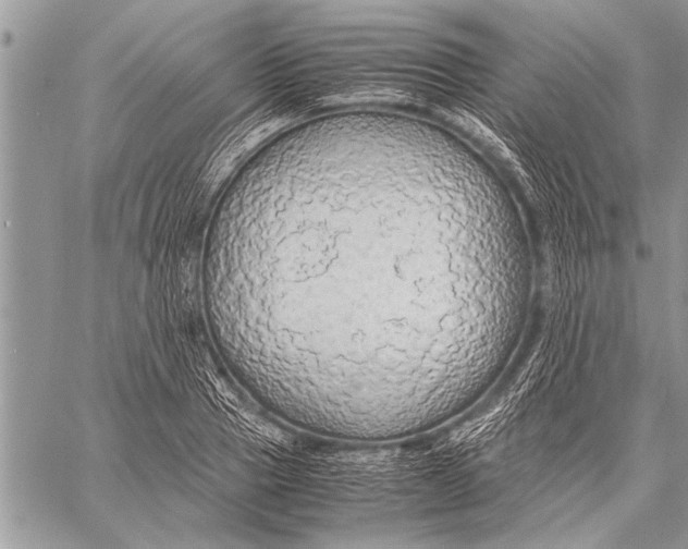 X0000058130937200510171332