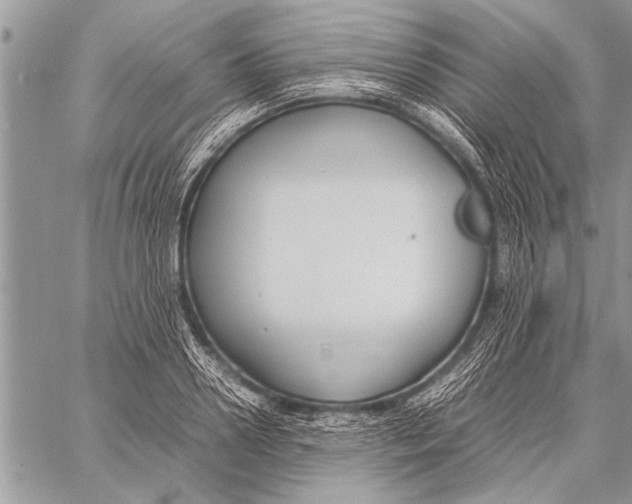 X0000058130938200510171332