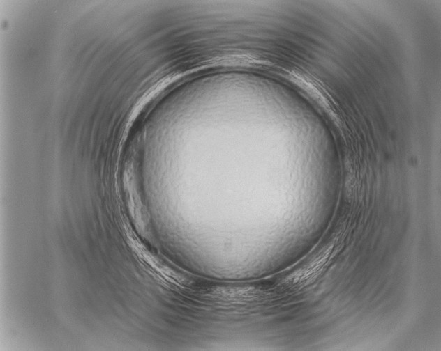 X0000058130939200510171332