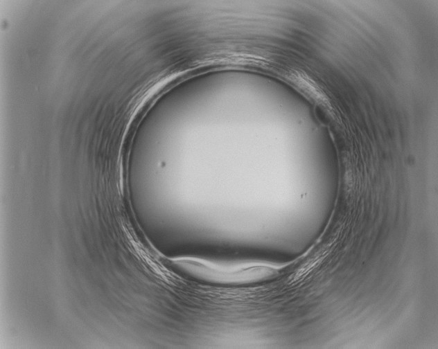 X0000058130940200510171333