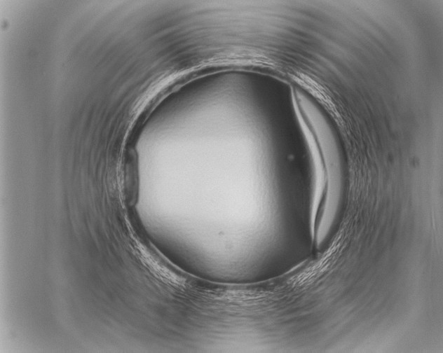 X0000058130942200510171333