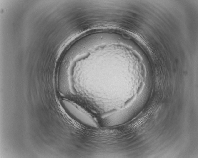 X0000058130943200510171333