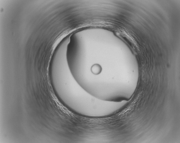 X0000058130944200510171333