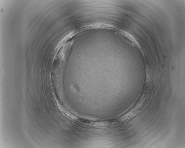 X0000058130946200510171333