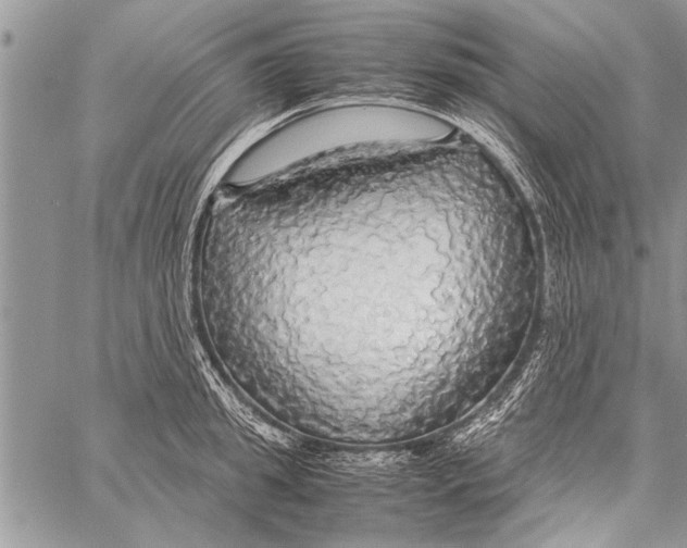 X0000058130949200510171333