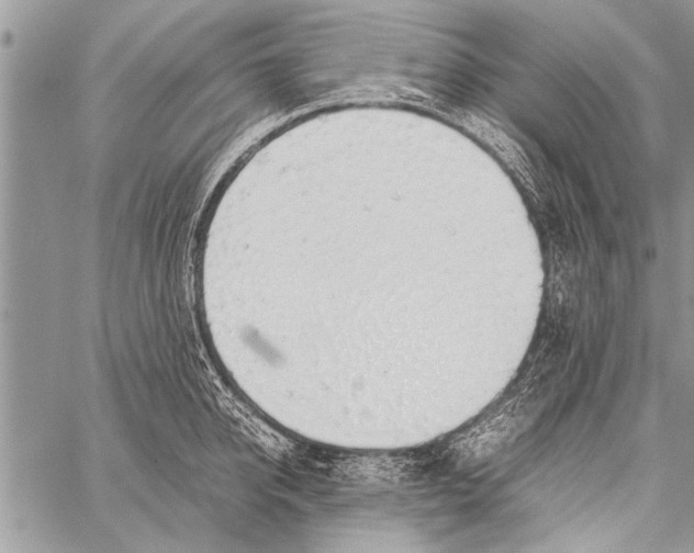 X0000058130950200510171333