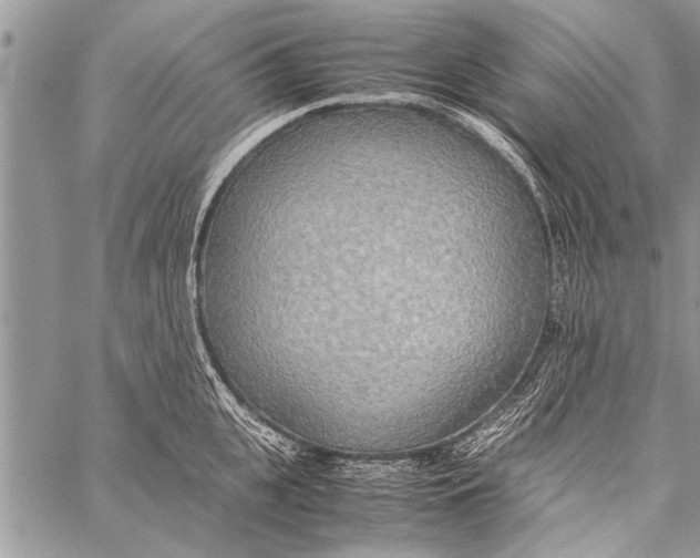 X0000058130951200510171333