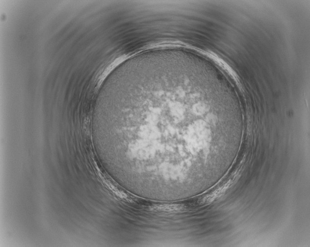 X0000058130953200510171333