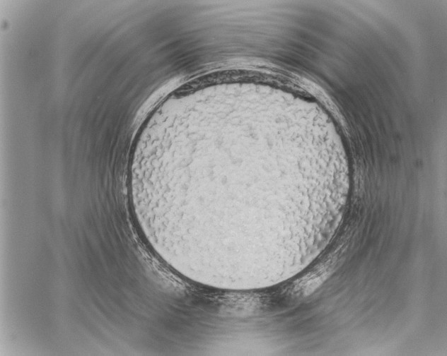 X0000058130954200510171333