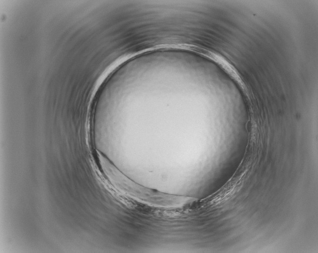 X0000058130955200510171333