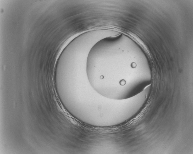 X0000058130956200510171333