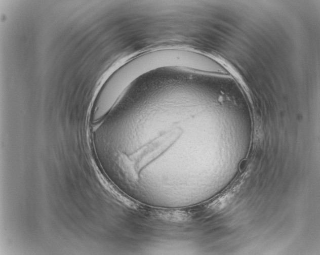 X0000058130957200510171333