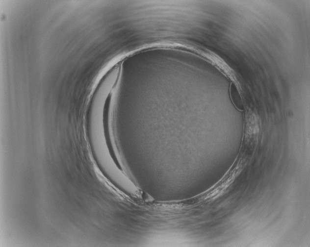 X0000058130958200510171333