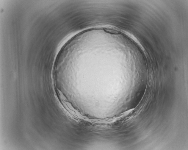 X0000058130959200510171333