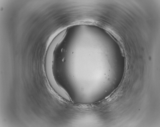 X0000058130960200510171333