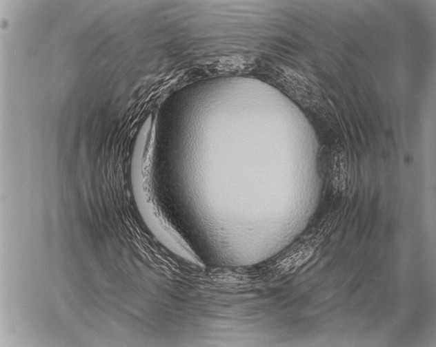 X0000058130962200510171332