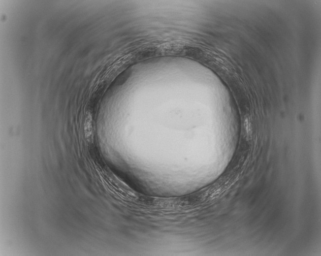 X0000058130963200510171332